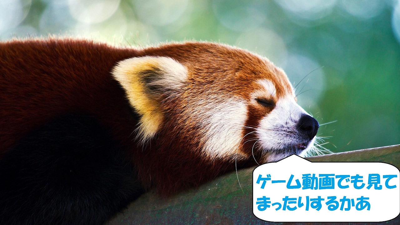 コメント付きゲーム動画EX のライブ ストリーム