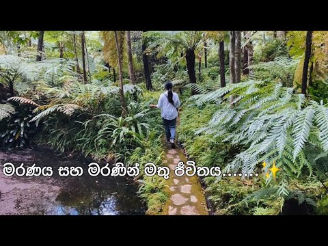 මරණය ගැන සහ මරණින් මතු ගමන ගැන සරලව තේරුම් ගන්න ✨#spirituality #sinhala #meditation #lawofattraction