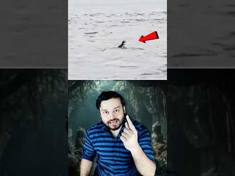 This Crocodile FAKES Drowning to TRAP Humans In! Acting of Animals #shorts