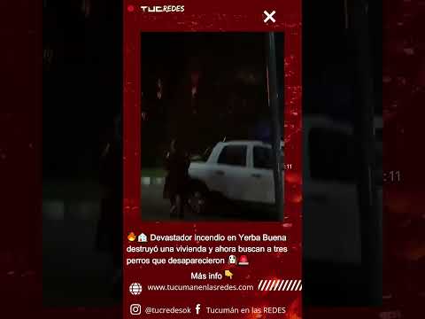 🔥🏠incendio en Yerba Buena destruyó una vivienda y ahora buscan a tres perros que desaparecieron 🐶🚨