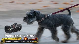 Panasonic HC-X1200 4K-25p | 1/50 | CINE-D | AGC limit 24dB