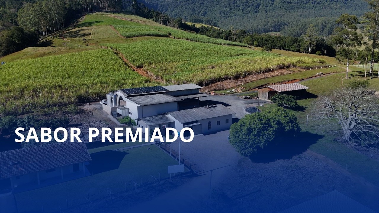Cachaçaria de Presidente Getúlio conquista prêmio internacional e leva o nome da cidade ao mundo