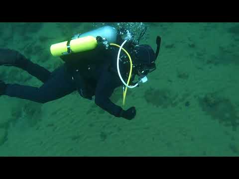 em3 cold water dive