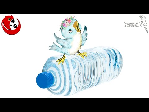 Gadająca papużka falista Józio całowałby wszystko