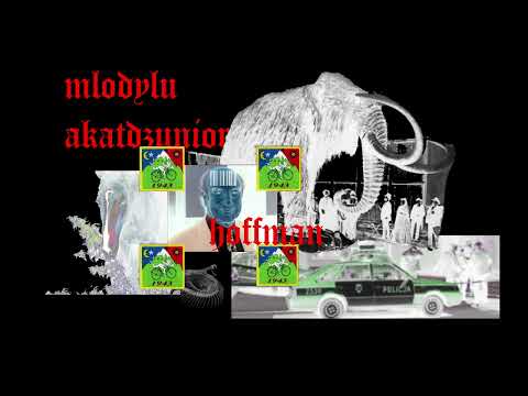 mlody lu x akatdzunior - hoffman (prod. jordan)