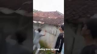 Download lagu maling dihajar warga #jatirotolumajang mp3 Download lagu maling dihajar warga #jatirotolumajang mp3