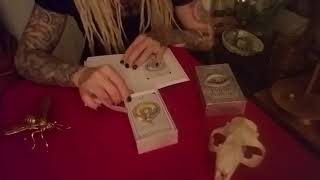 Download Lagu Bear, earthworm, mouse. Wild unknown animal spirit deck THE TAXIDERMY WITCH Thumbnail