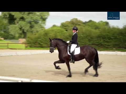 IBOP Wergea 22-7-2021