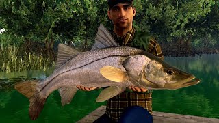 【釣りゲー】どうしてもデカいスヌーク釣りたい！「フィッシングプラネット」(Fishing planet ) LIVE