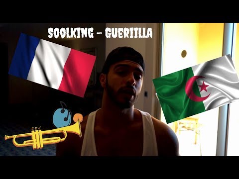 SOOLKING - GUERIILLA....BRITISH/UK REACTION TO FRENCH/ALGERIAN RAP!!!