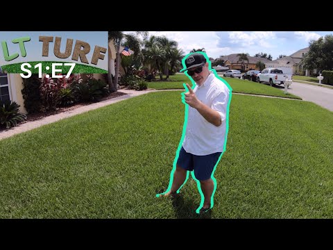 LT TURF - ALLYN HANE The Lawn Care Nut | Season 1, Episode 7