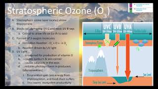 APES 7A Notes - Stratospheric Ozone & Primary Air Pollutants