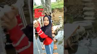 Download lagu aktifitas di sekolah outbond menyebrangi jembatan,zidan takut #short #outbound #jembatan #aktifitas mp3