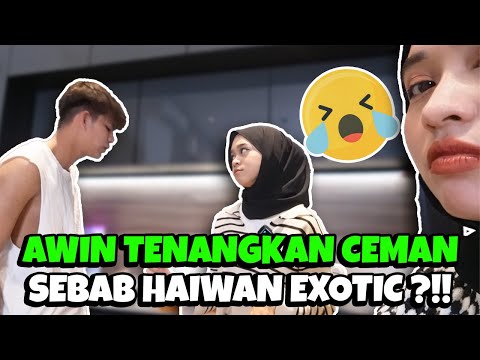 AWIN TENANGKAN CEMAN TENGAH TAKUT DENGAN HAIWAN EXOTIC ?!! - PRANK CEMAN