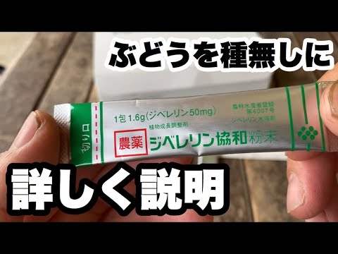 液化ガスが入ったタンク