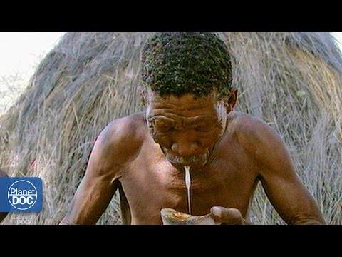 Desert of Skeletons. Full Documentary | Planet Doc Full Documentaries