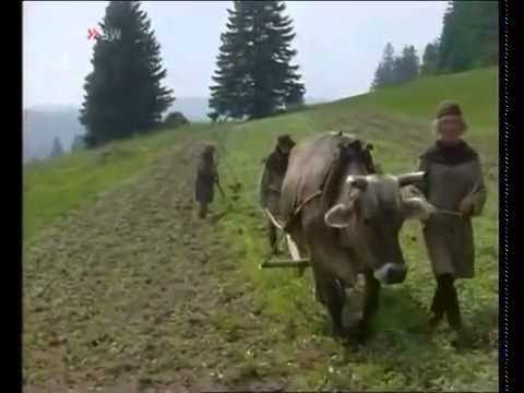 Europa Im Mittelalter - Von Bauern Und Edelmaennern [Dokumentation deutsch HD]