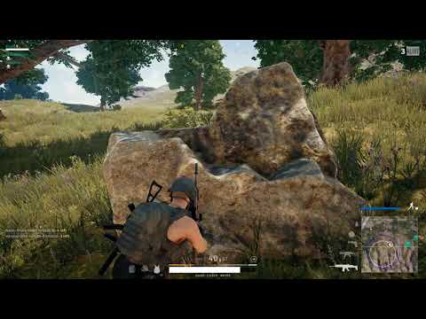 Most eventful Chicken Dinner ever?