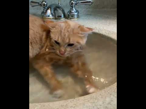 To defeat your enemy, you must first become them.#Shorts