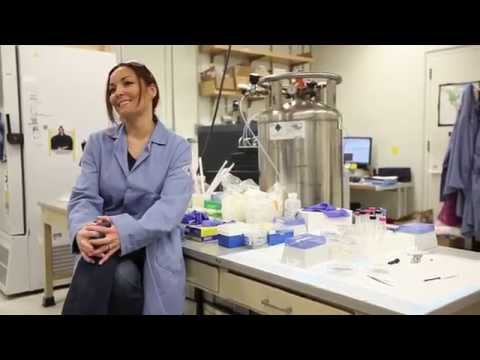 ThundHerStruck - The ULTIMATE All-Girl Tribute to AC/DC  - TRIBUTE (Episode Five)