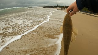 Download Lagu Coffs coast- flathead fishing Thumbnail