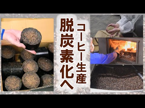 コーヒーかすをサラダに使えますか?レタスにはどんなメリットがあるのでしょうか？  庭園