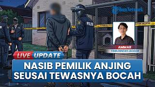 Nasib Pilu Bocah di Bogor Tewas Akibat Serangan Anjing, Polisi Tetapkan Pemilik Hewan Jadi Tersangka
