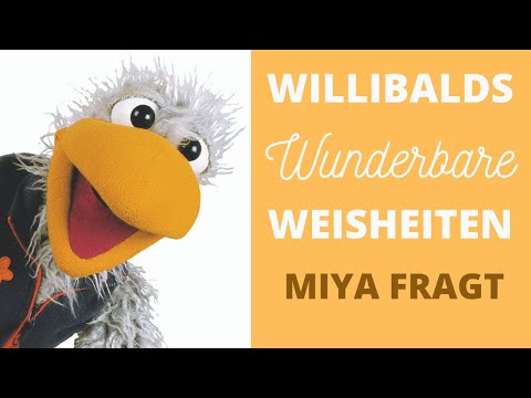 Willibalds wunderbare Weisheiten 10 - Miya fragt