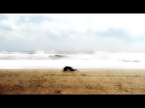 DUBZOIC - Warrior of Light [irie003-2012] Feel Complete Ep