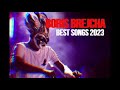BORIS BREJCHA BEST SONGS 2023 MUSIC SESSIONS 21