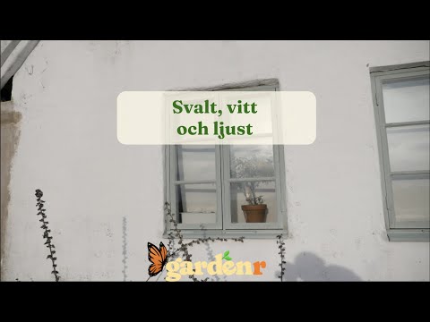 Cool, white and bright for the plants - Gardenhacks by GardenR