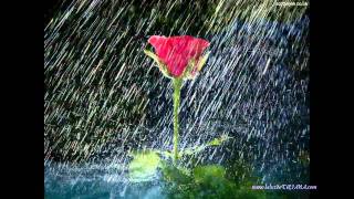 TRIANA-Se De Un Lugar.avi