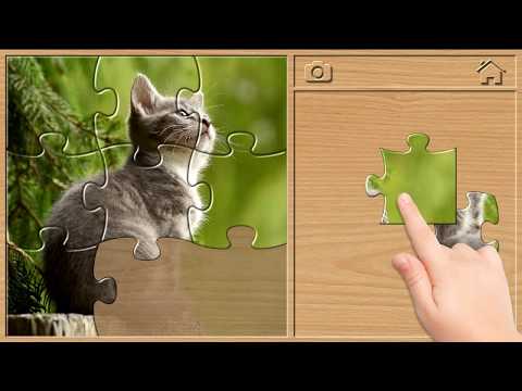 Animal Puzzles for Kids Video