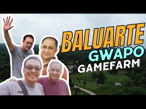Ang Maganda At Malawak Na Farm Ni Lito Guerra | Baluarte Gwapo GF | Farm Visit | Champion Breeder 🏆