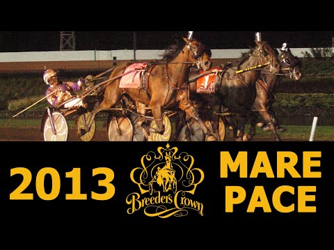 2013 Breeders Crown - Shelliscape - Mare Pace