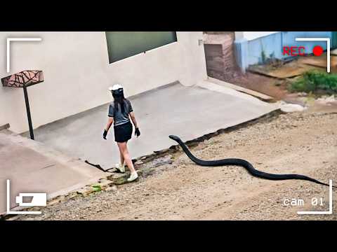 Moments Filmed Seconds Before Disasters