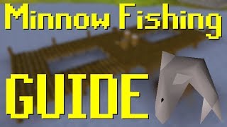 [OSRS] Minnow Fishing Guide