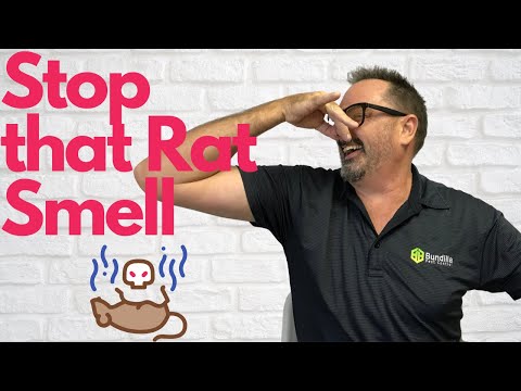 Get Rid of That Dead Rat Smell