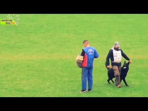 CIRO KUSTMARKEN'S & JOAO PAULINO  C81 - WUSV 2014