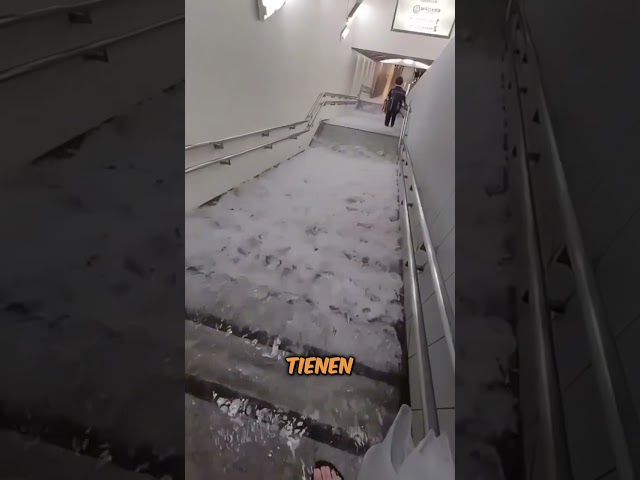 Vídeo relacionado con Karactermania My Hero Academia-Mochila HS FAN, 30 x 41 cm, Capacidad 22 L, Negro Chibi