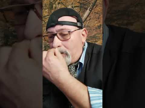 Culoarea vremurilor de demult, în versuri cu dor