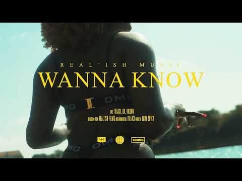 tieijci - Wanna Know (ft. Dx, Vilson) [Lyric Visualiser]