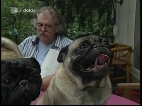 Mein Freund, der Mops   ZDF Doku, 2007