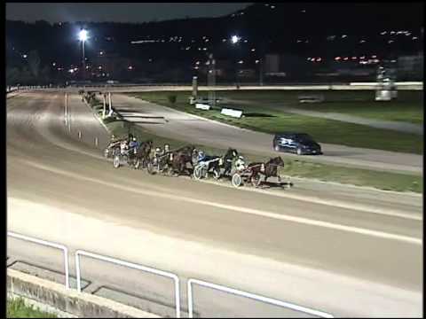 Trotto 08/03/2015 - 8° corsa