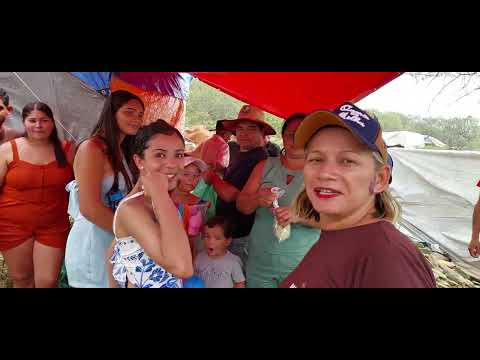 FESTA DO CARRO DE BOI EM INHAPI ALAGOAS, A MAIOR DO NORDESTE. 