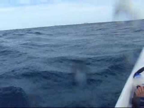 Dunlop Surfski World Cup Dry Run