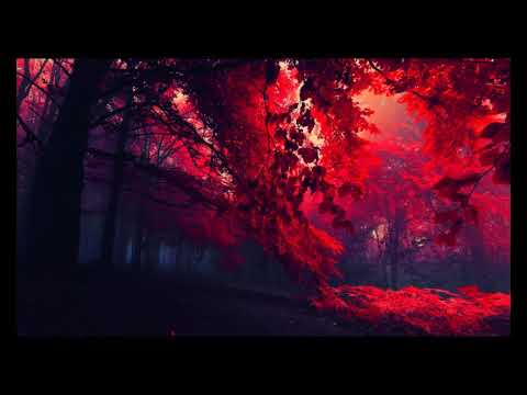 On a Horizon- Maria Andersson (Vid En Horisont) With Lyrics (English translation)