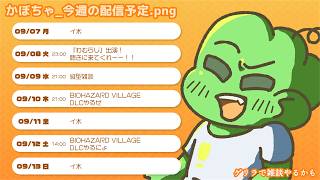 スケジュール＆フリーコメント欄【かぼちゃ(かぼやち)】