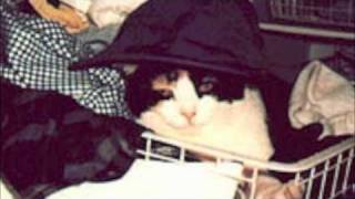 Queen - Delilah (HD)