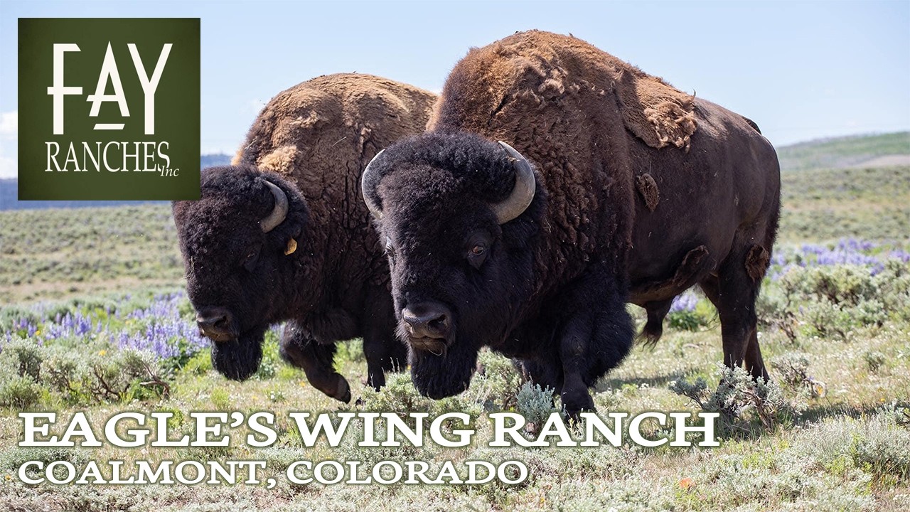 Eagle’s Wing Ranch